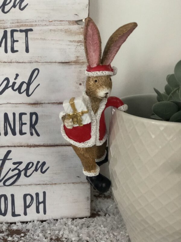 Pot Hanging Santa Rabbit