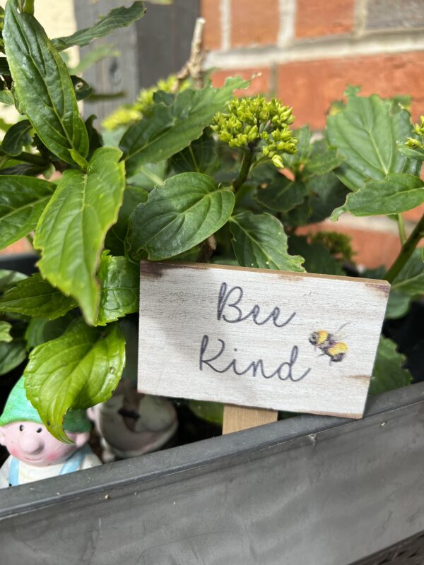 Bee plant sticks Bee kind