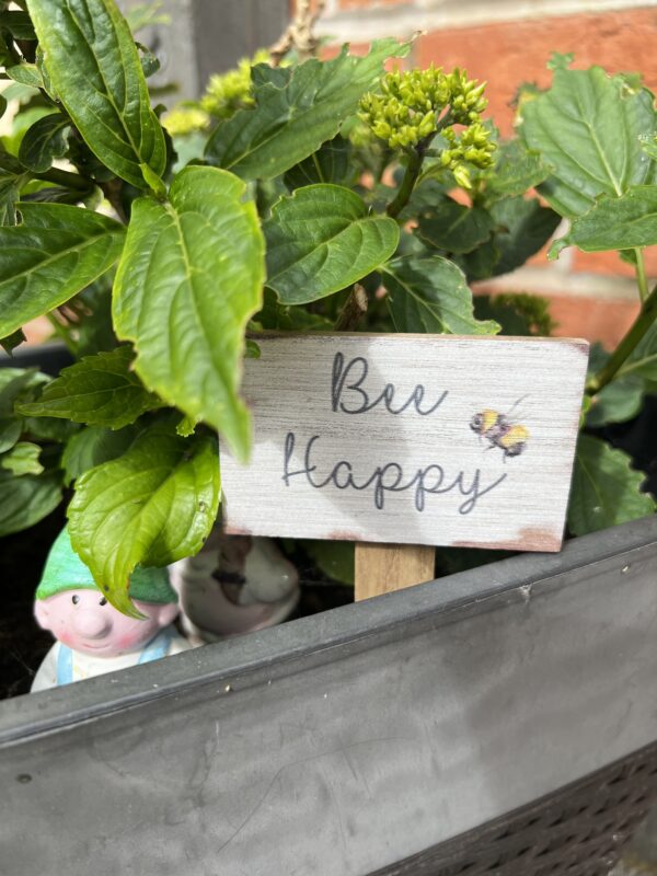 Bee plant sticks Bee Happy